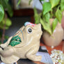 Saryu Frog Figurine