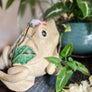 Saryu Frog Figurine