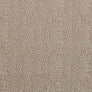 Sample Leopard Rosette Fabric - Cream