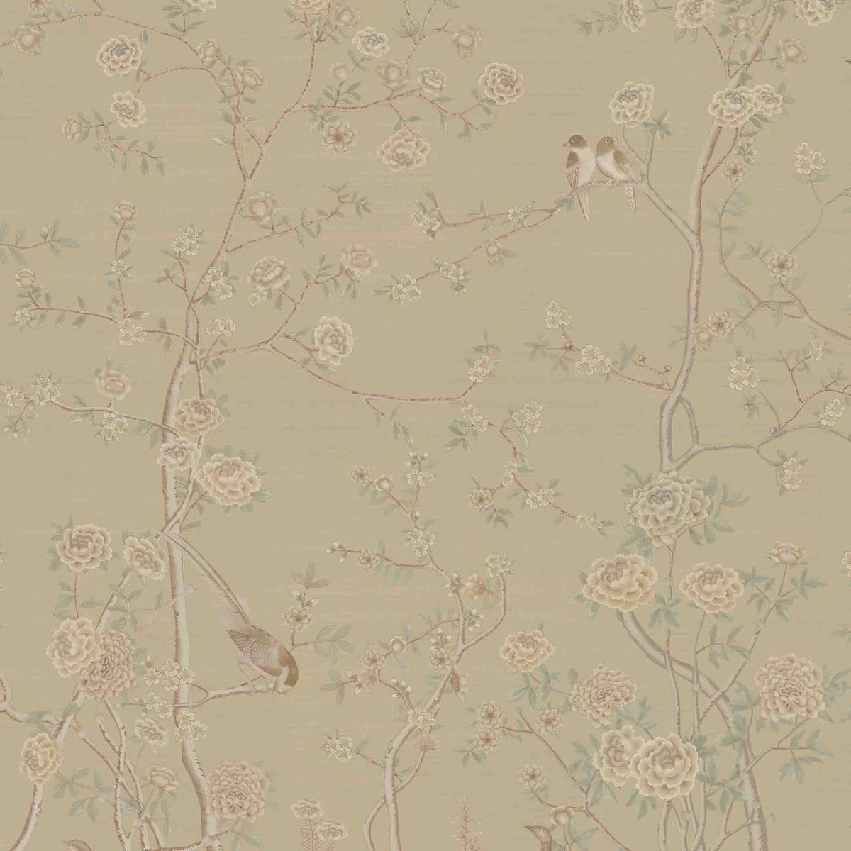 Buy Ceylon At Kainaat Design