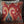 Eternal Ikat Embellished Cushion Cover - Rust