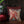 Eternal Ikat Embellished Cushion Cover - Beige