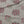 Flowering Grove Fabric - Ivory