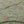 Flowering Grove Fabric - Green