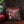 Imperial Suzani Embroidered Cushion Cover - Burgundy