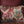 Moon Ikat Embellished Cushion Cover - Slim
