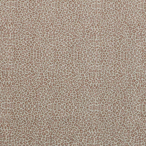 Leopard Rosette Fabric - Cream