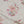 Lotus Blossom Fabric - Cream