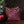 Mirage Ikat Hand Embroidered Cushion Cover - Burgundy