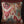 Moon Ikat Embellished Cushion Cover