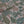 Pichwai Forest Fabric - Ivory
