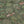 Pichwai Garden Fabric - Green