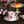 Pomegranate Garden Tea Cup & Tea Plate Set
