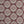 Tulip Garden Fabric - Ruby