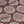 Tulip Garden Fabric - Ruby