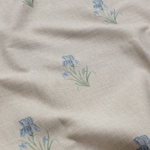 Wild Iris - Ivory