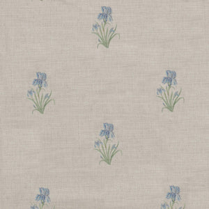 Wild Iris - Ivory