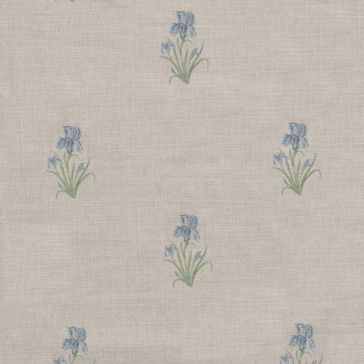 Wild Iris - Ivory