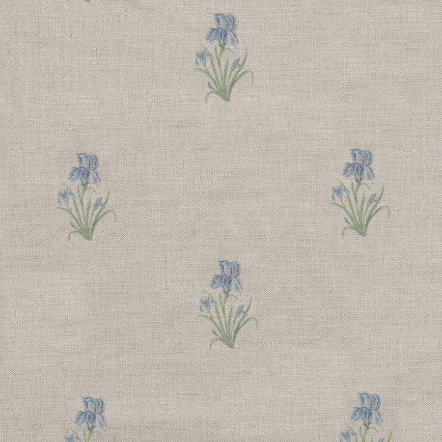 Wild Iris - Ivory