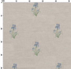 Wild Iris - Ivory