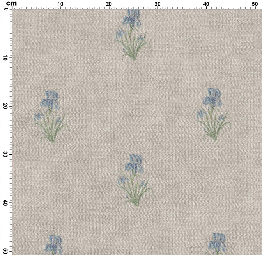 Wild Iris - Ivory